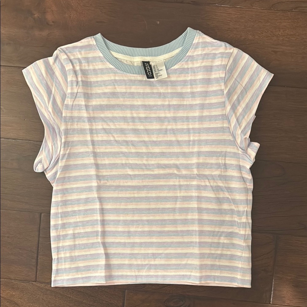 Zara Striped Pastel Tee